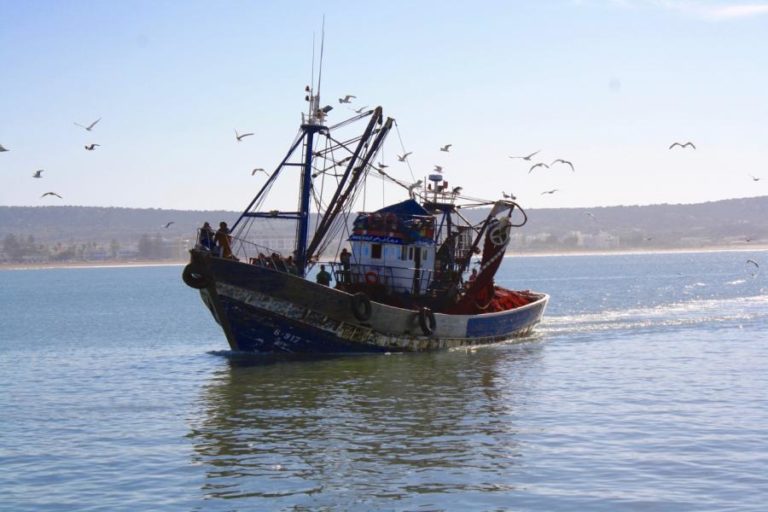 westland survival fishing westland survival fishing