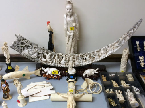Taiwan and U.K. to Ban Ivory Trade