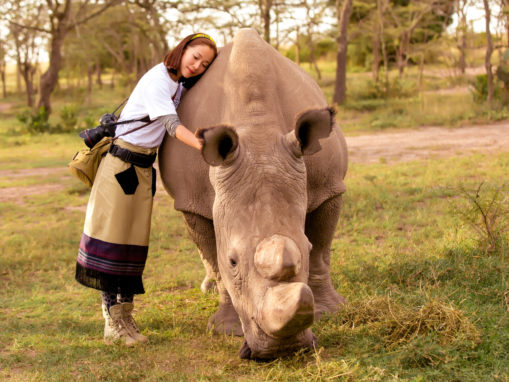 Last Male Northern White Rhino Dies