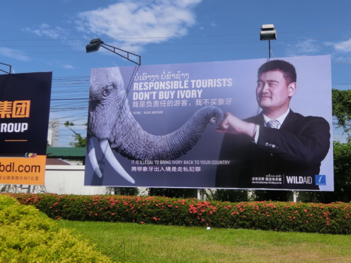 WildAid Ambassador Yao Ming Urges Travelers to Say No to Ivory in Laos