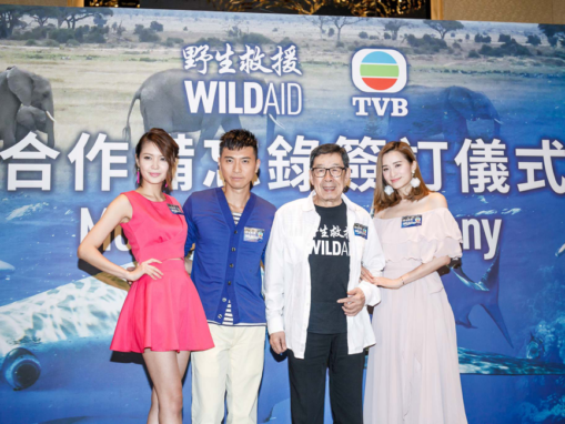 Expanded Hong Kong Shark Campaign Adds Leading Broadcaster TVB