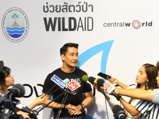 Thailand Superstar Pong Nawat Joins WildAid Shark Fin Campaign