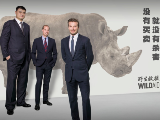 From Criminal to Consumer, Ending Illegal Wildlife Trade Requires Stricter Enforcement and Behavior Change