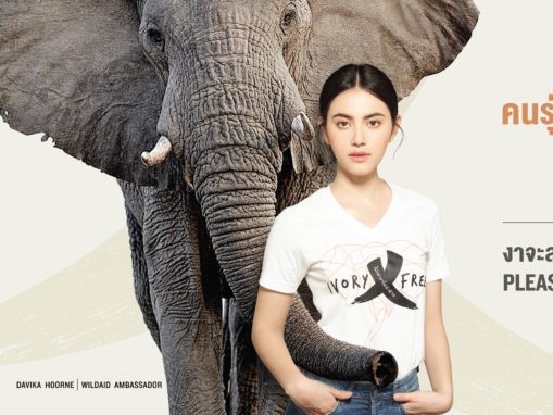 Actress Davika Hoorne Says No To Ivory In WildAid Campaign