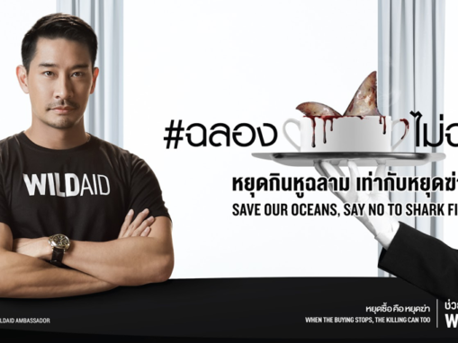 New WildAid Campaign Urges Thailand to Say No to Shark Fin at Weddings