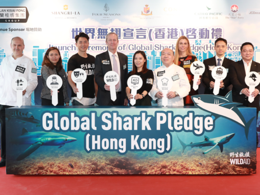 Hong Kong Corporate Leaders Join WildAid Global Shark Pledge