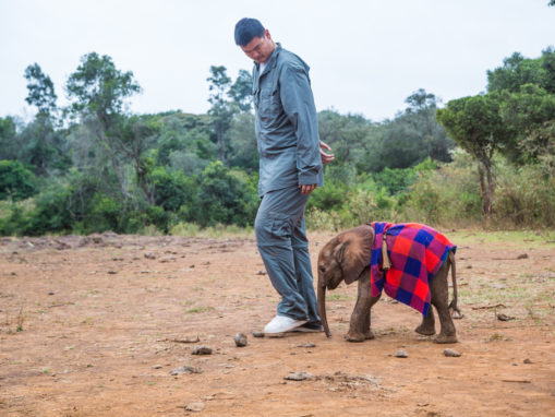 Yao Ming’s Dedication to Wildlife is a Slam Dunk