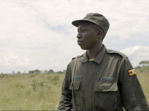 New Video Series Celebrates Africa’s Wildlife Heroes