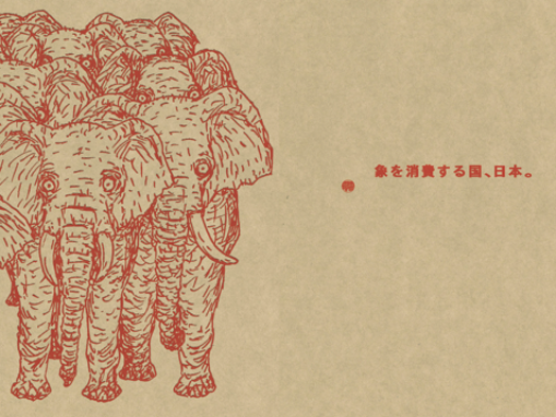Close Ivory Market in Japan, Beginning with Hankos