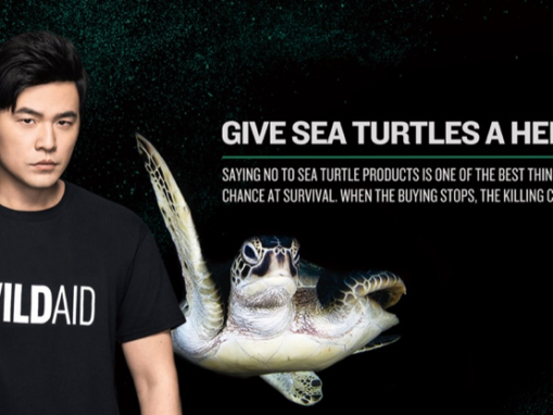 Jay Chou Fights to Save Endangered Wildlife