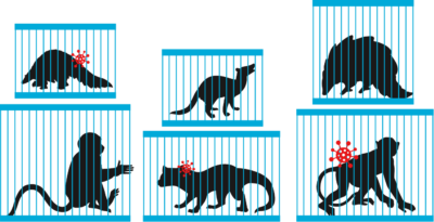 Animals in Cages
