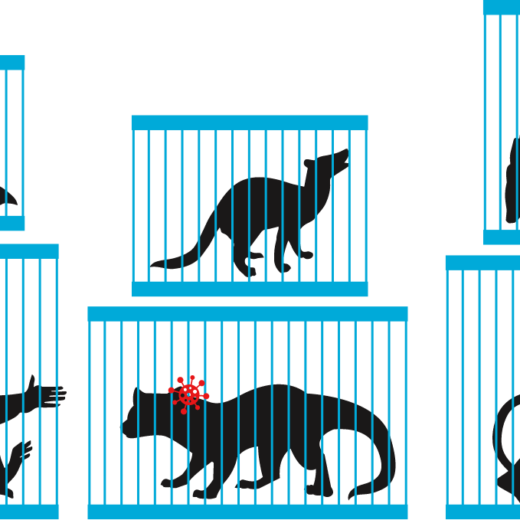 Animals in Cages