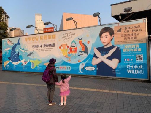 Designing WildAid Hong Kong’s PSAs