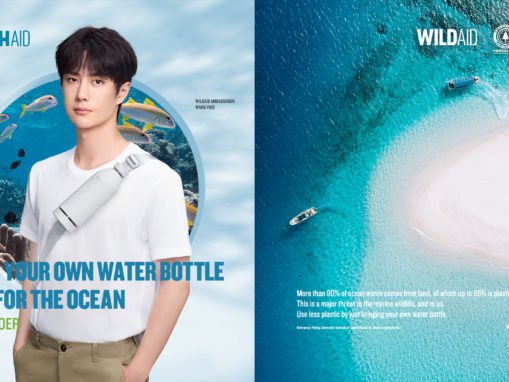 WildAid Launches New Campaign to Reduce Ocean Plastic Pollution