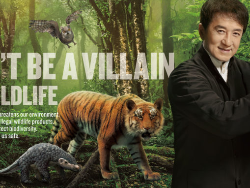 Don’t Be a Villain to Wildlife
