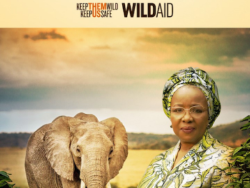 Africa’s largest ever wildlife awareness program launches in Nigeria