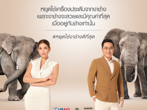 New campaign discouraging ivory use in Thailand declares, “elephants wear ivory best”