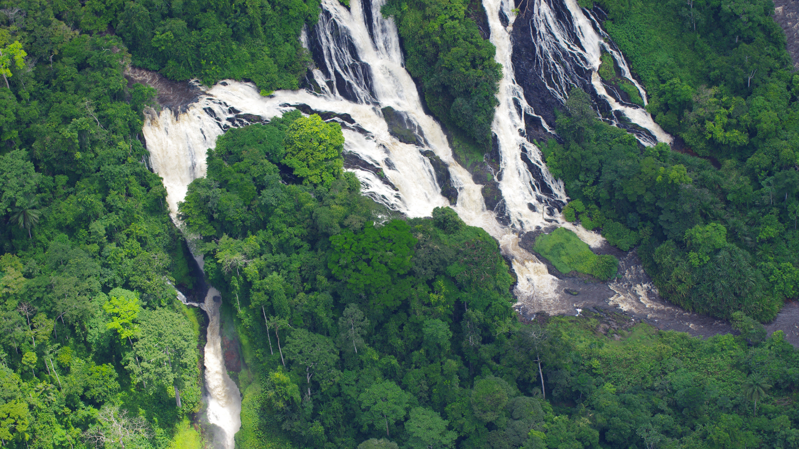 Location of the study site: (A) Location of the Congo River Basin