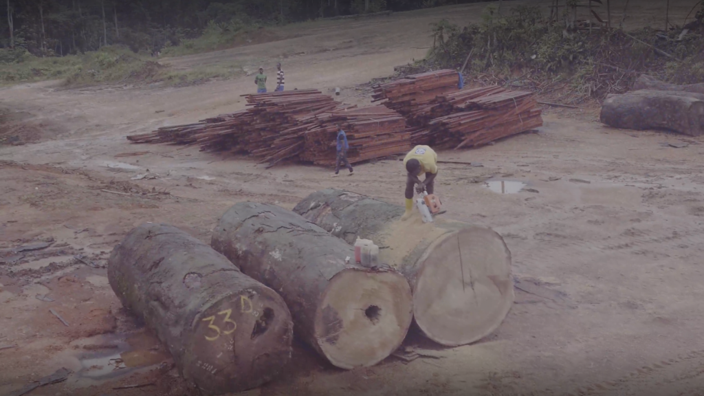 Human activities are threatening the vital Congo Basin ecosystem.