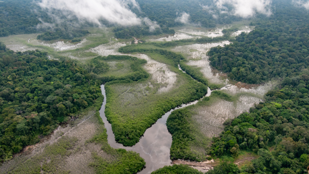 The Congo Basin provides food, water, medicine and transport to millions of people.
