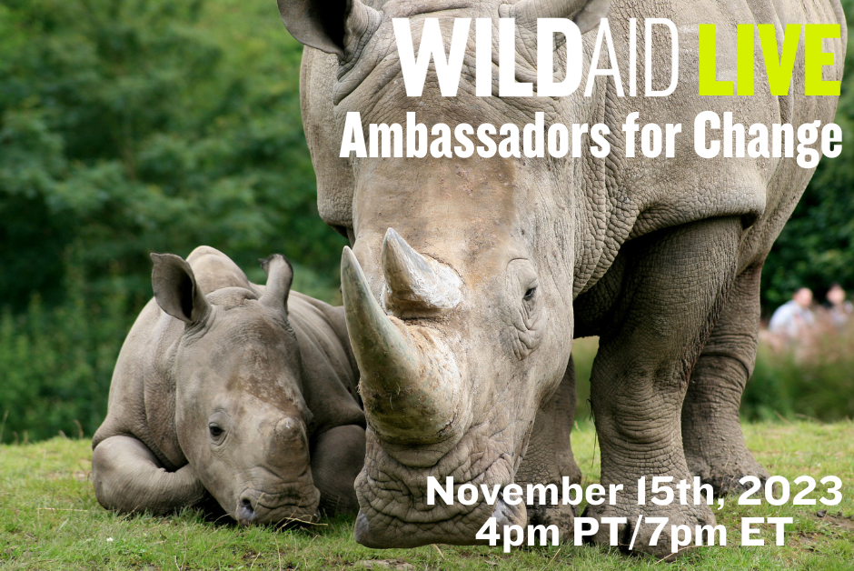 A photo of two rhinos with text over the top that reads WildAid Live Climate Change, November 15, 2023, 4 pm PT, 7 pm ET