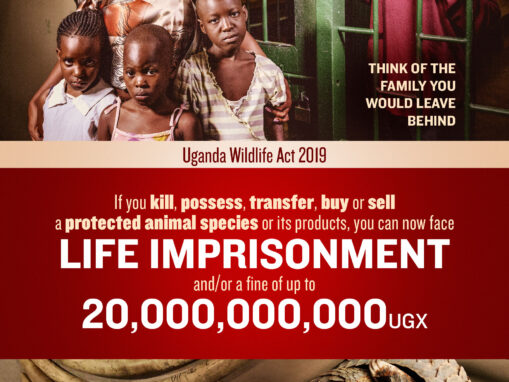 WildAid Campaign Raises Awareness About Landmark Ugandan Wildlife Law, as Public Vows to Fight Wildlife Crime