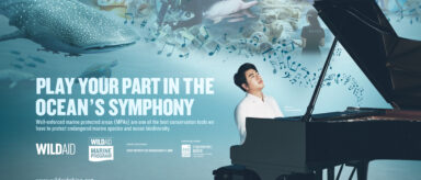 A graphic showing a photo of pianist Lang Lang sitting at his piano beneath a collage of images of marine life. Text on the graphic reads as follows: Play your part in the ocean's symphony. Well-enforced marine protected areas are one of the best conservation tools we have to protect endangered marine species and ocean biodiversity.