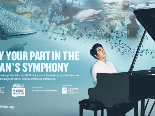 Lang Lang and WildAid Call On Public to Help Keep Our Oceans Alive
