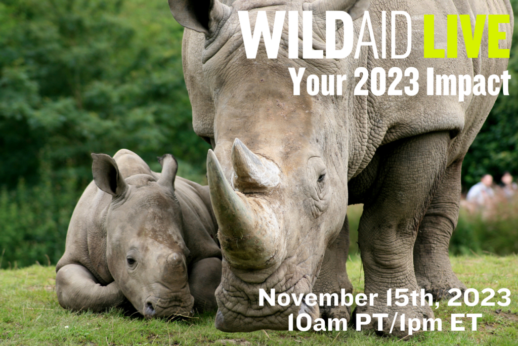 A photo of two rhinos with text over the top that reads WildAid Live Your 2023 Impact, November 15, 2023, 10 am PT, 7 pm ET