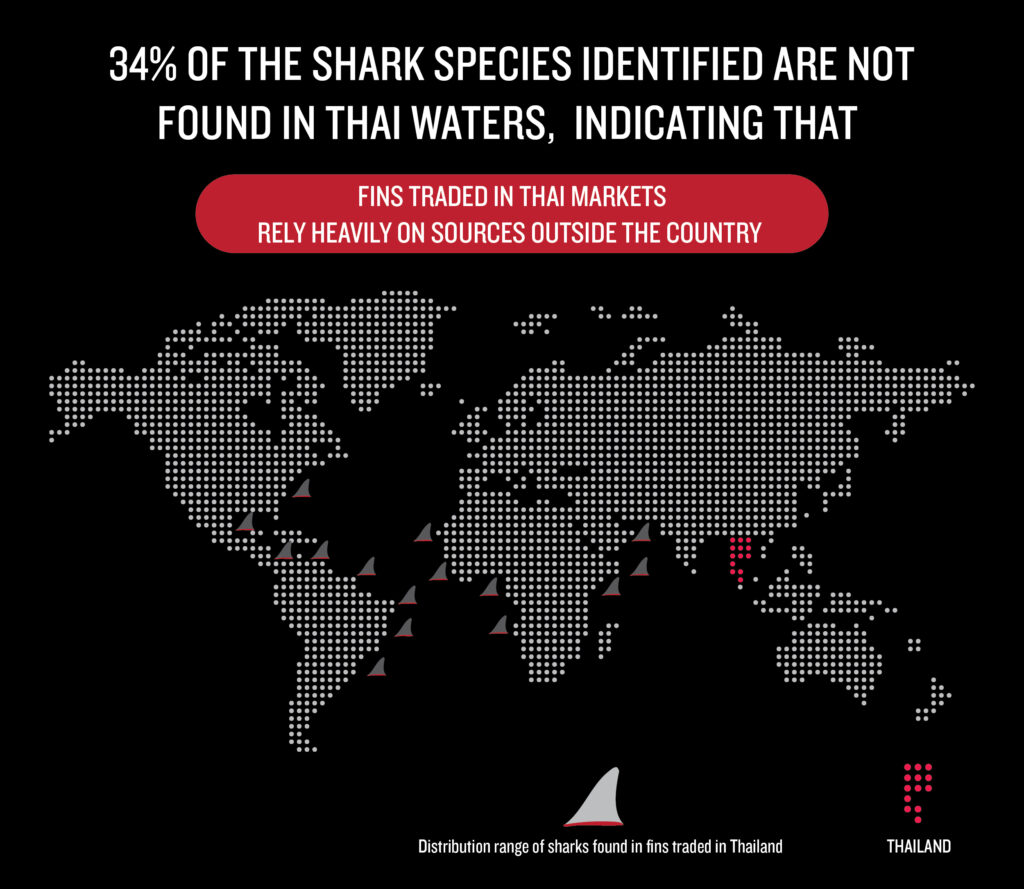 A graphic showing a map of the world with shark fin icons indicating several areas sharks were imported from outside of thai waters. The graphic reads as follows: 34% of the shark species identified are not found in Thai waters, indicating that fins traded in Thai markets rely heavily on sources outside the country.