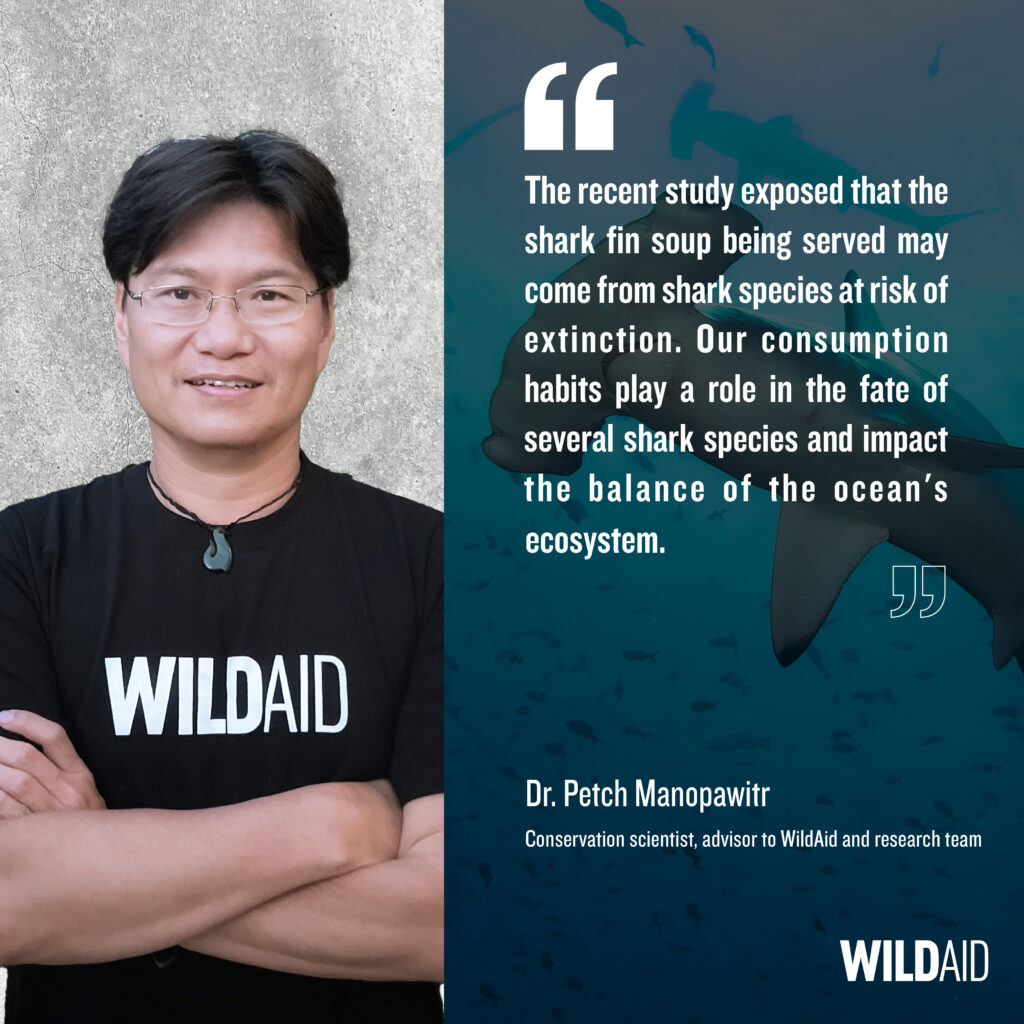 A graphic showing a photo of Dr. Petch Manopawitr, a conservation scientist, with a quote from him that reads: “the recent study exposed that the shark fin soup being served may come from shark species at risk of extinction. Our consumption habits play a role in the fate of several shark species and impact the balance of the ocean’s ecosystem.”
