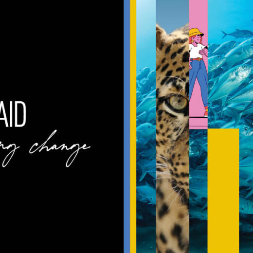 The cover of WildAid's 2022-2023 impact report. There is a collage of various WildAid programs on the right. On the left is WildAid's logo and text reading "inspiring change"