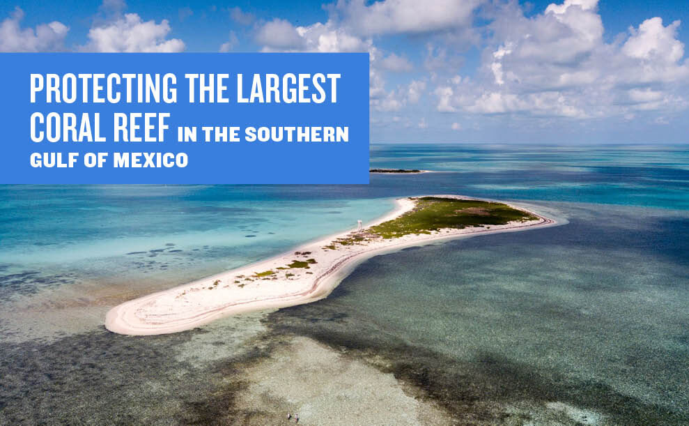 An excerpt from the Impact Report showing an image of a coral reef with text that reads: protecting the largest coral reef in the southern gulf of mexico