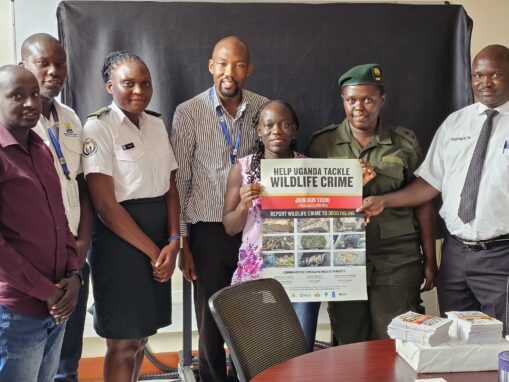 Uganda Border Officials ‘Join the Team’ to Defend Africa’s Wildlife