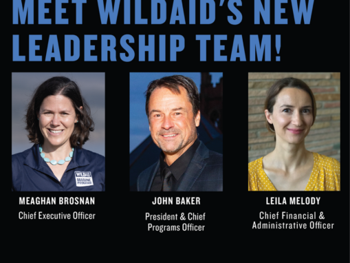 Meet WildAid’s New Leadership Team