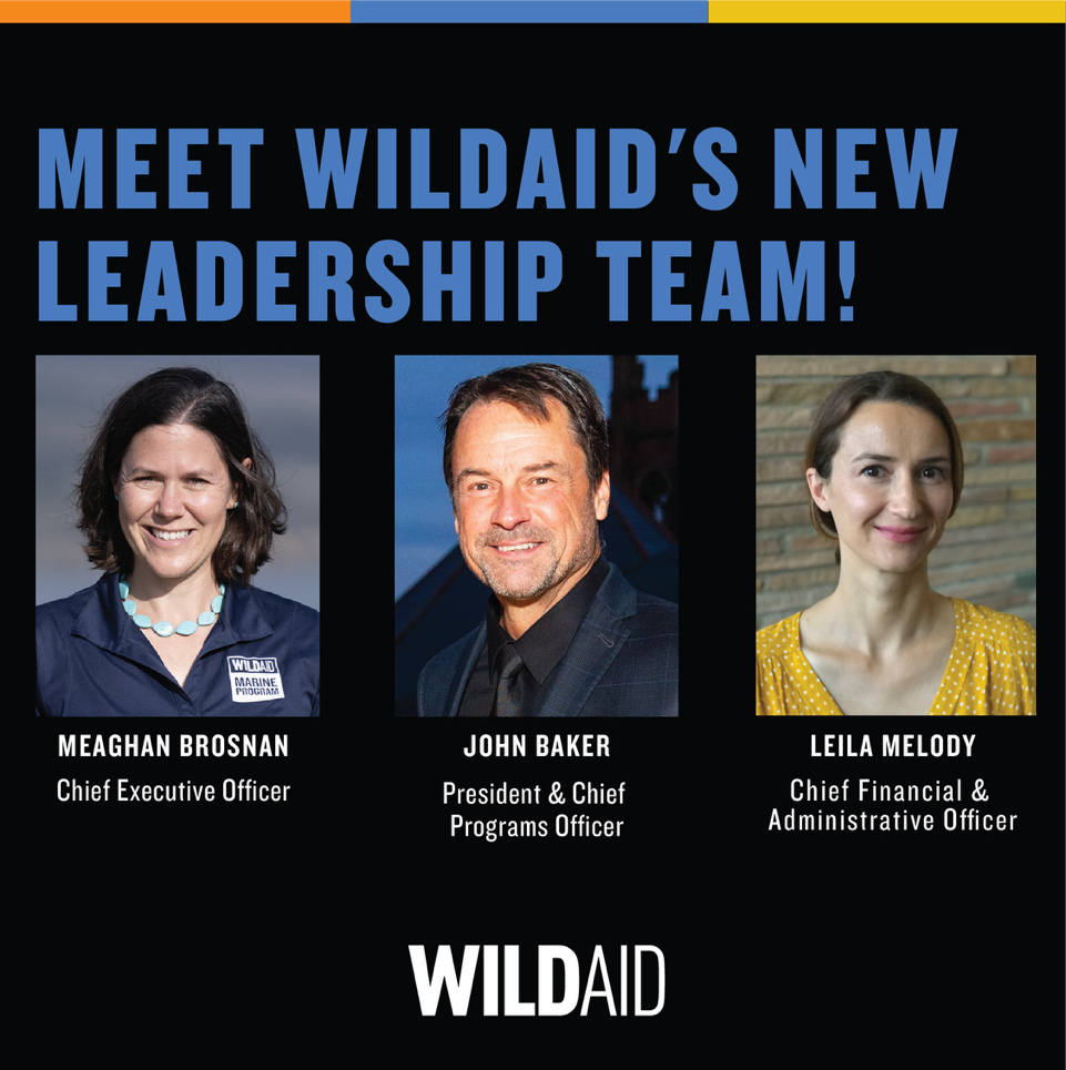 Meet WildAid's New Leadership Team