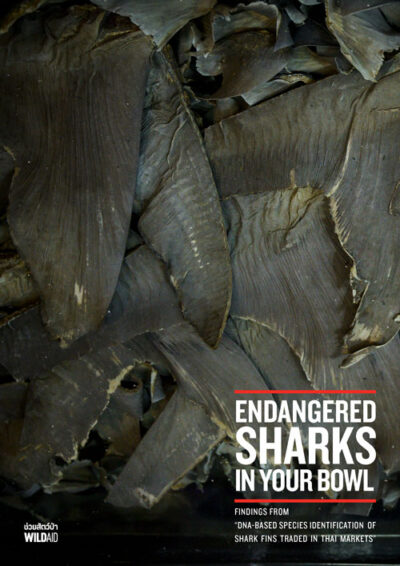 Shark-fin-DNA-report_final_EN_Page_01 - WildAid Book cover with stacked shark fins and the title Endangered Sharks in Your Bowl.