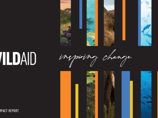 WildAid’s 2023/2024 Impact Report