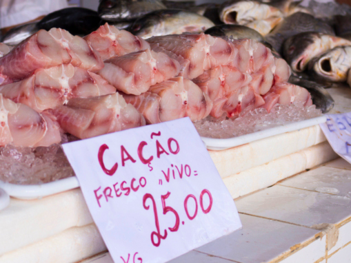 What Is Cação? The Shark Meat Many Brazilians Don’t Know They’re Eating