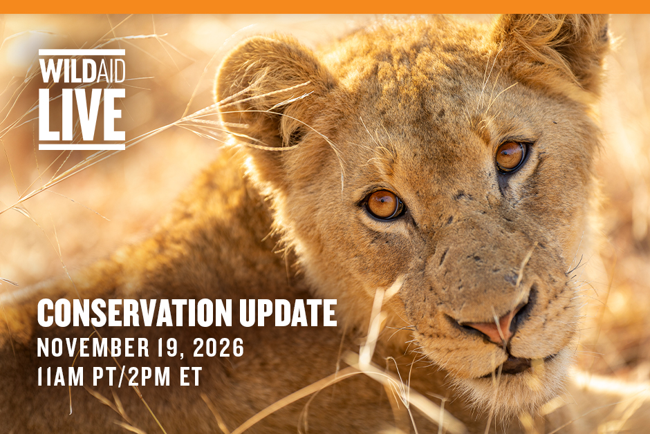 WildAid Live conservation update banner with a close-up lion and event details: November 19, 2026, 11 AM PT/2 PM ET.