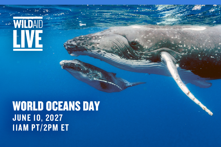 Underwater scene of a whale and calf with the WildAid Live logo and World Oceans Day event details nearby.
