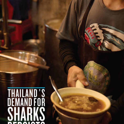 Person in a black apron serving a bowl of hot soup in a kitchen; poster text reads 'Thailand's Demand for Sharks Persists' with a WildAid logo.