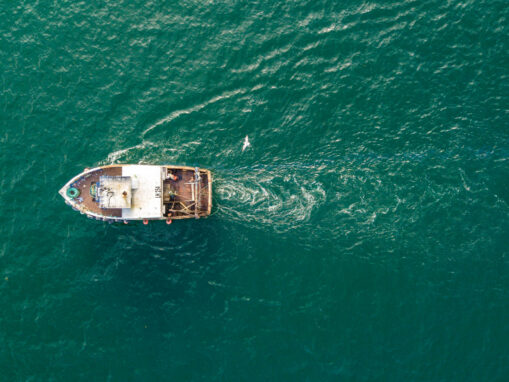 Here’s How Technology is Helping Fight Illegal Fishing
