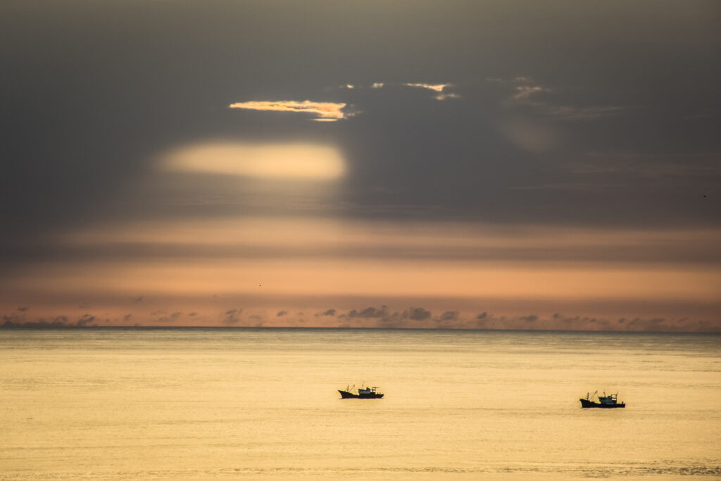 Sunset over the sea - WildAid